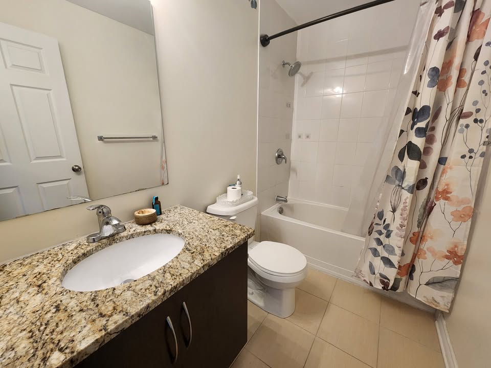 1 Bed 1 Bath Apartment